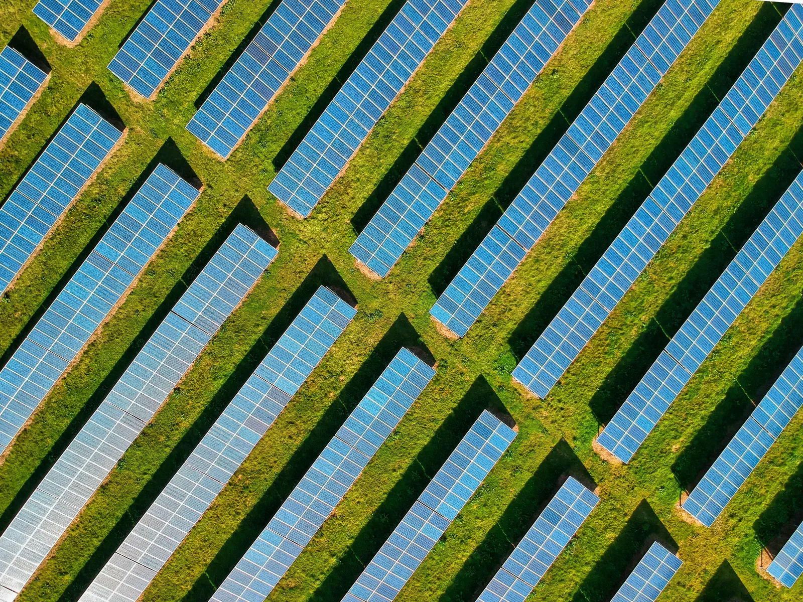Aerial view of rows of ground-mounted solar panels in a green field